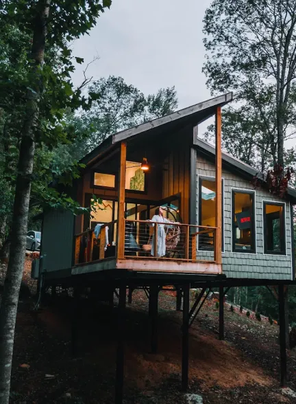 Elevated Treetop Living