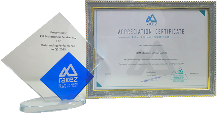 RAKEZ Executive Setup Advisory Award
