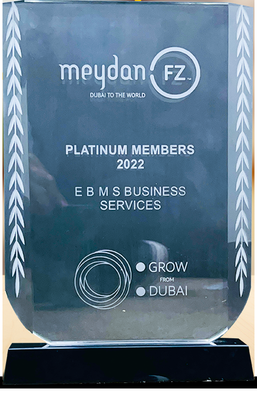 Meydan Freezone Executive Setup Appreciation Certificate