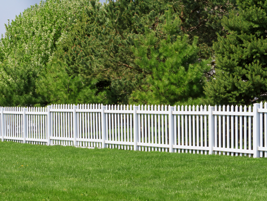 fence