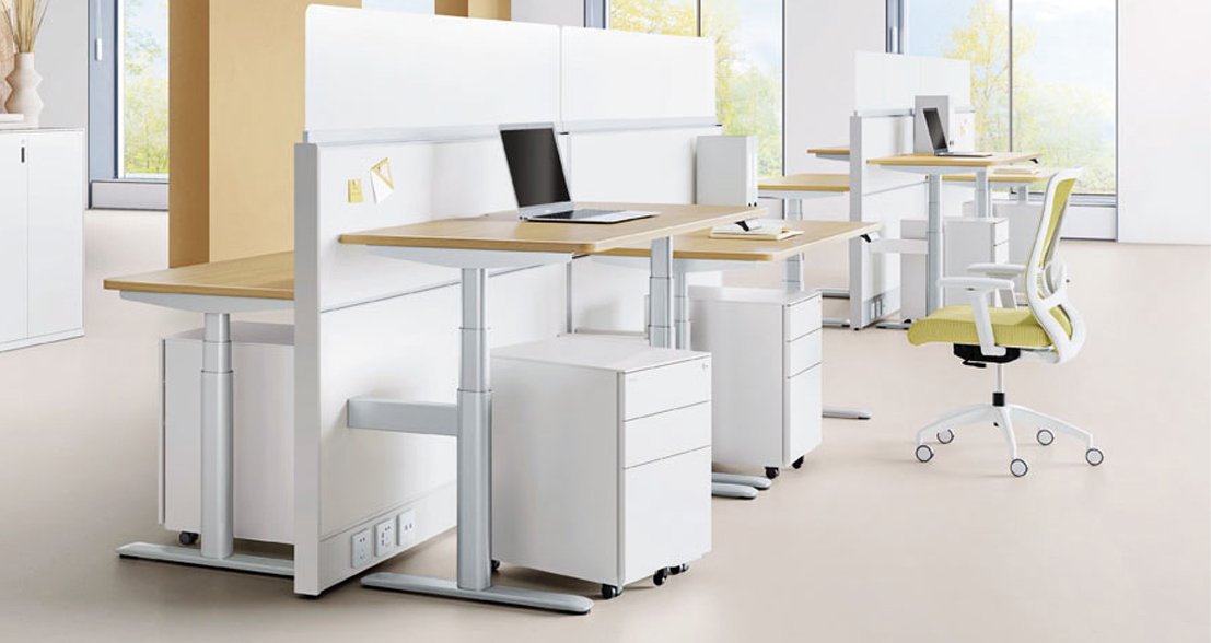 Sunon height-adjustable desks with wood tops, white screens and pedestals