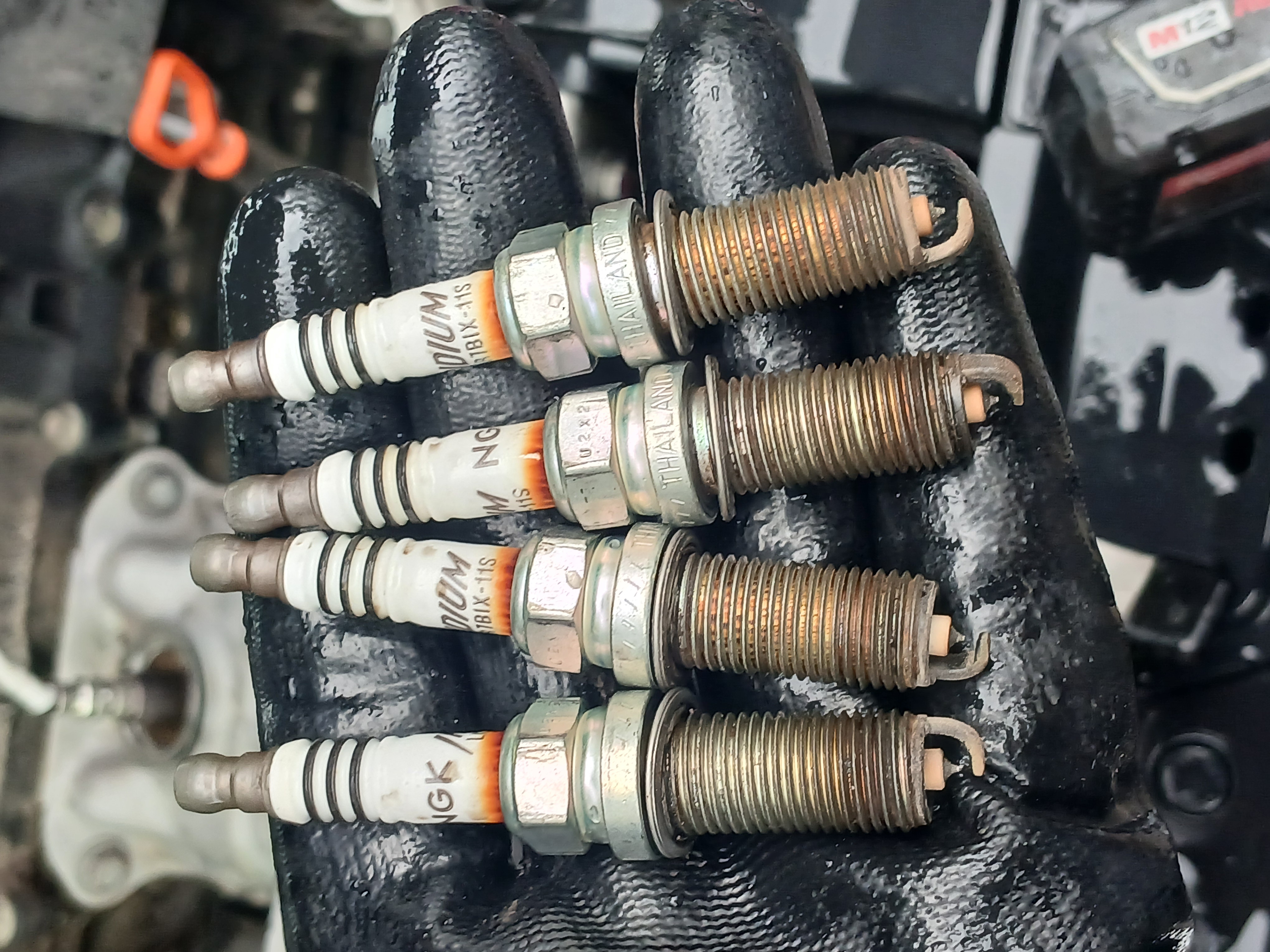 Fresh NGK Iridium spark plugs — part of a tune-up performed on-site by Honest Joe's Auto mobile mechanic in Bastrop County, TX