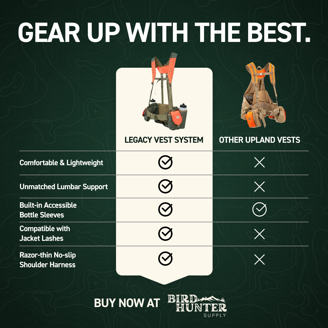 Ecommerce Fishing Business Creative