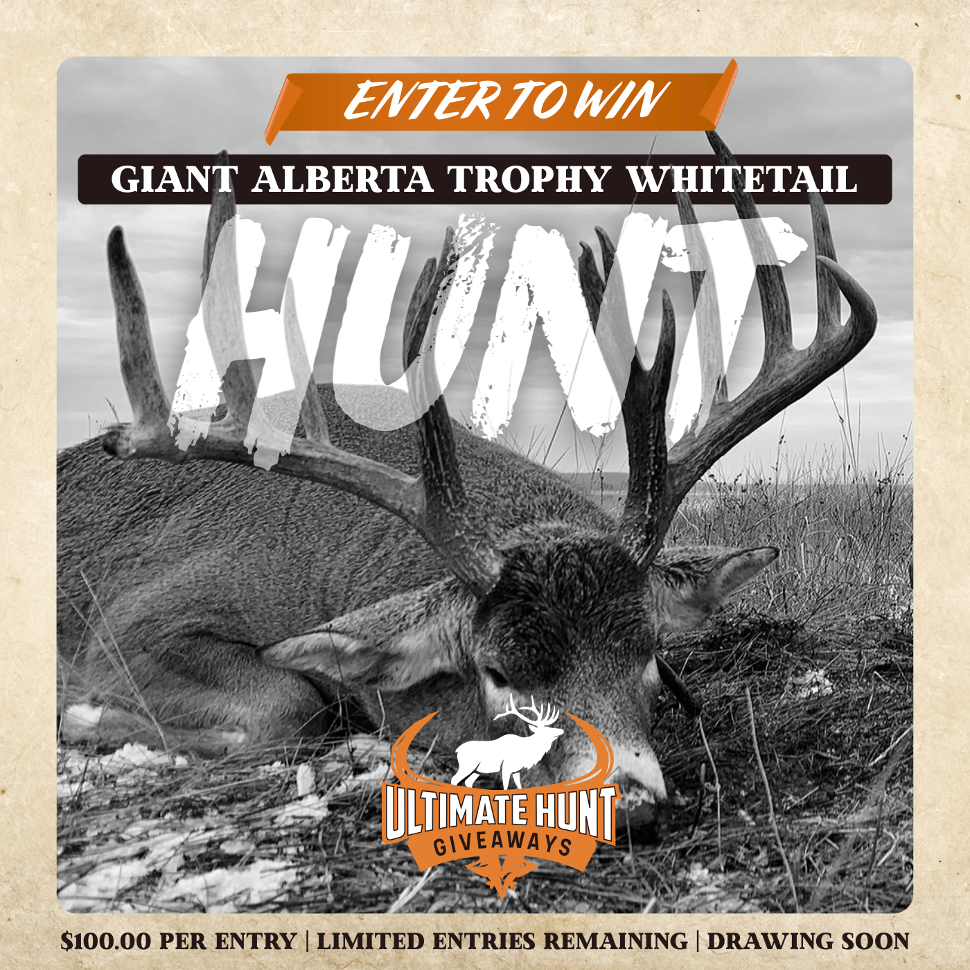 Ecommerce Fishing Business Creative