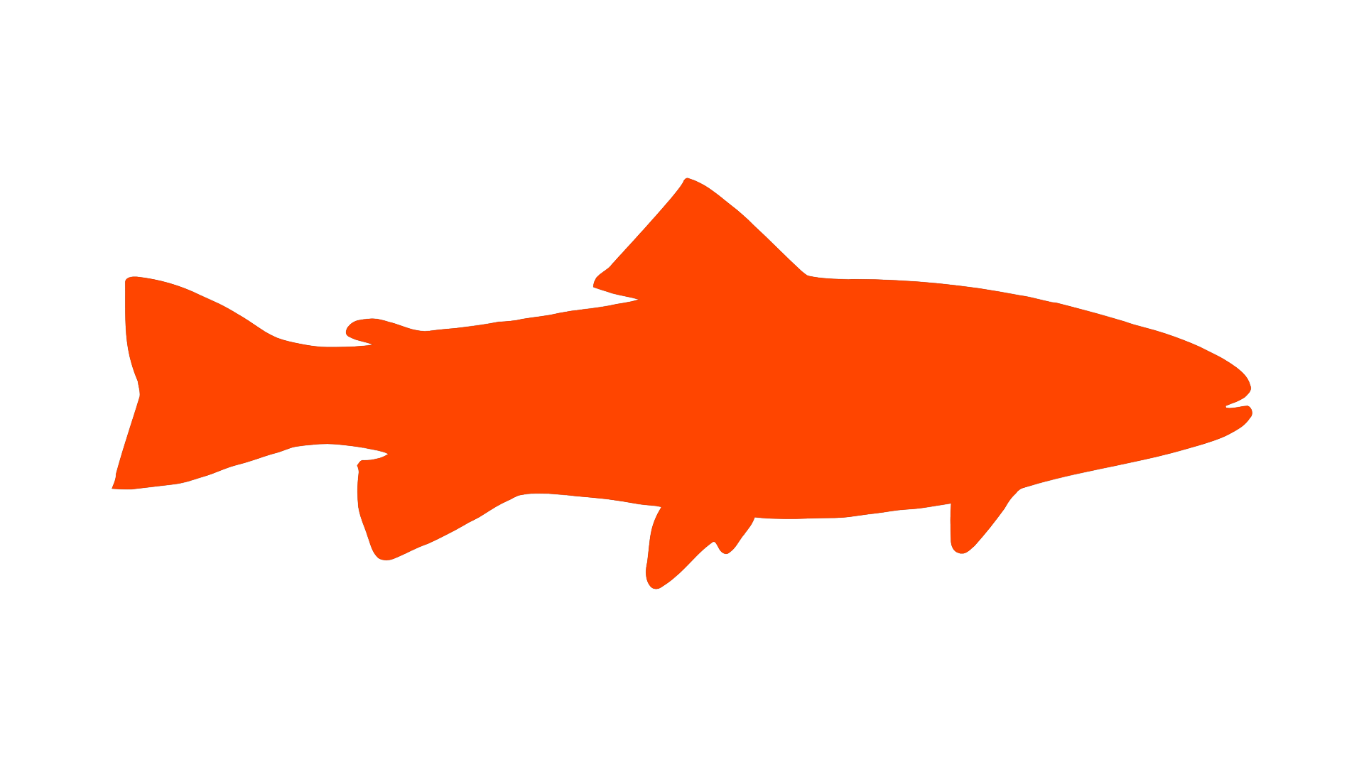 Fishing Marketing Agency