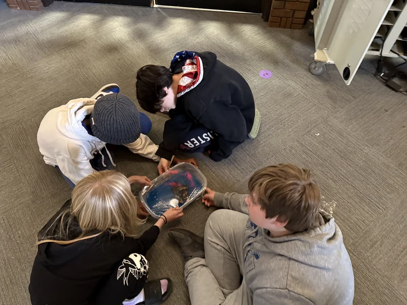 Engaged, Real-World Learning