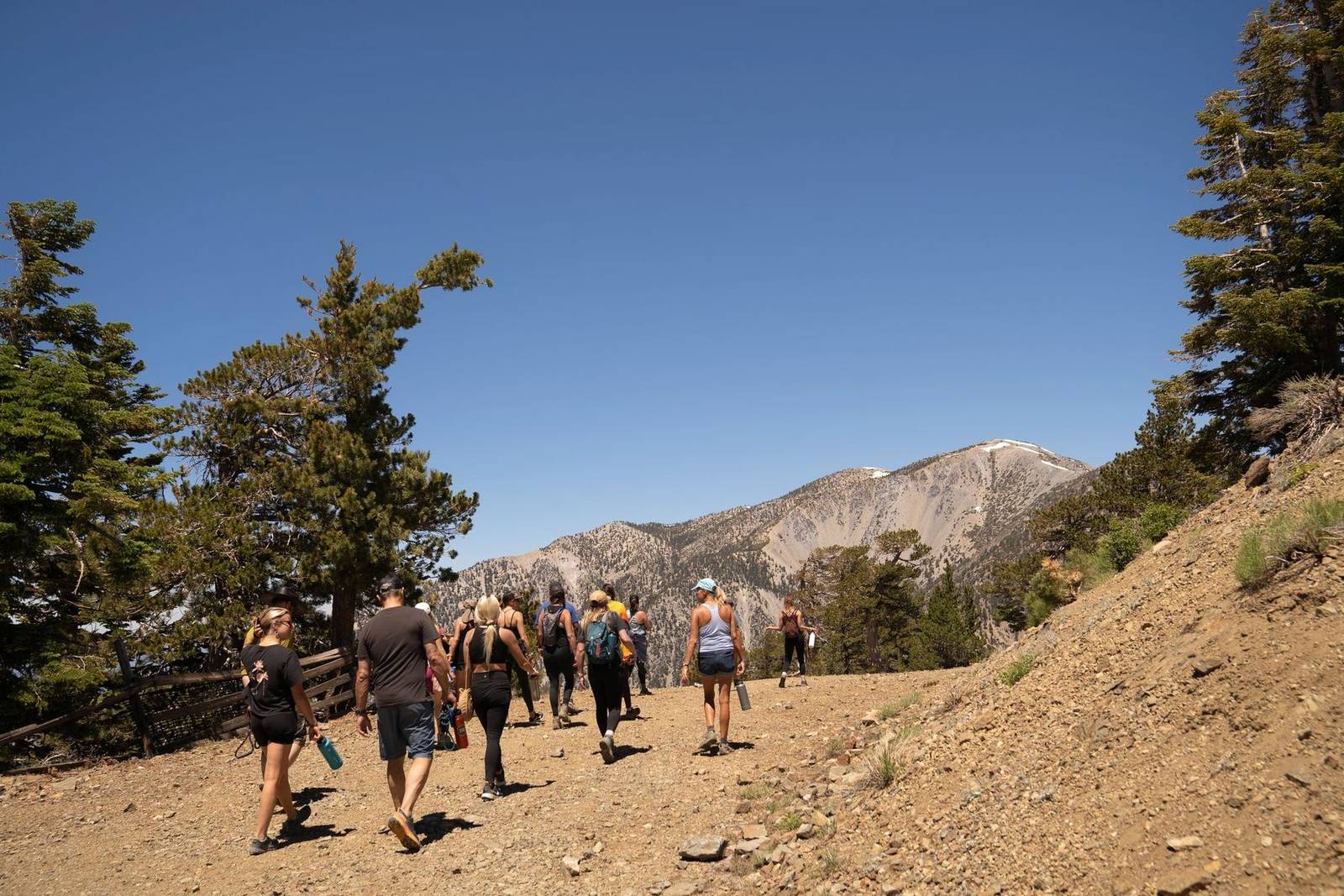 Guided group hike toward Mt Baldy summit