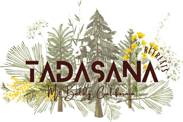 Tadasana Retreats, Mt Baldy California