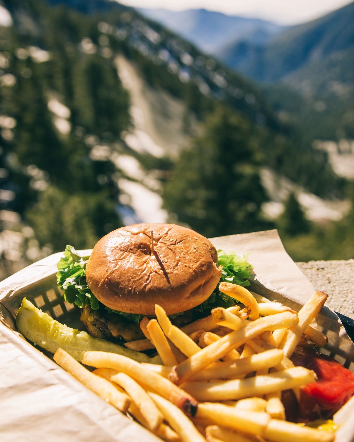 Burger and fries