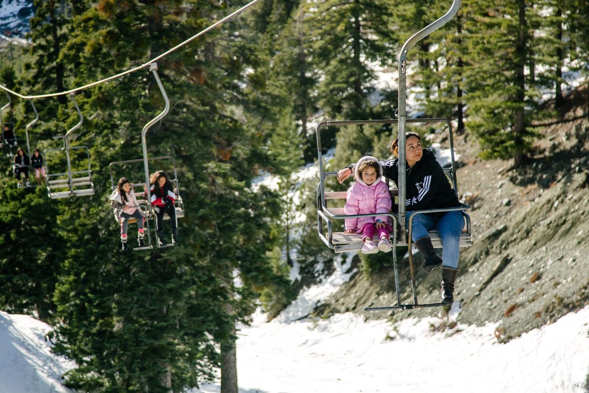 Riders on the chairlift through snowy pines