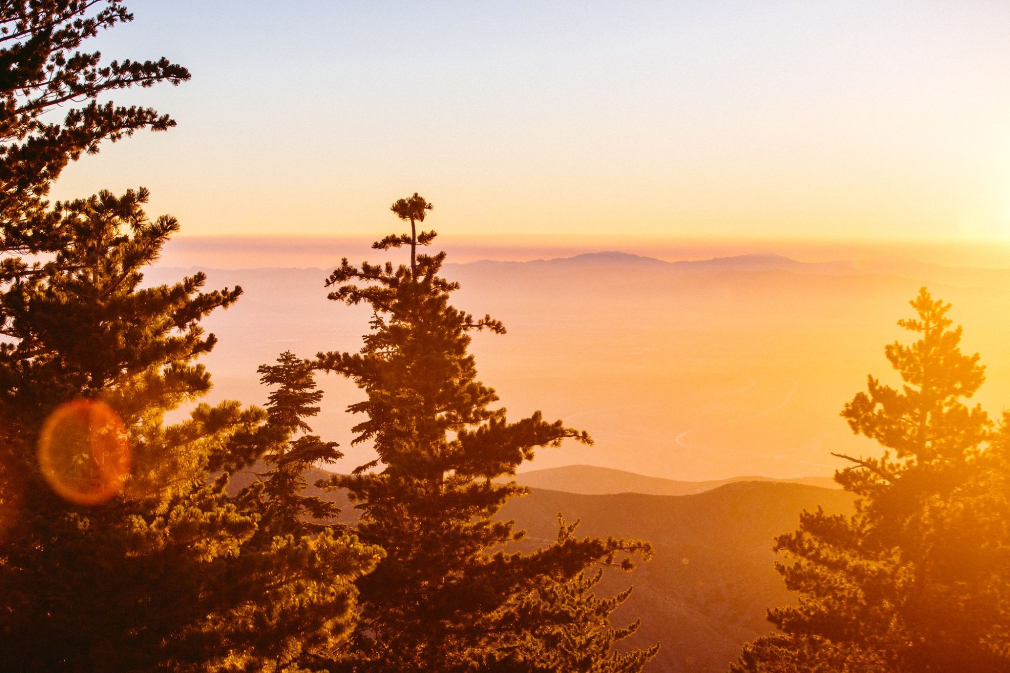 Sunset through the pines over hazy valleys