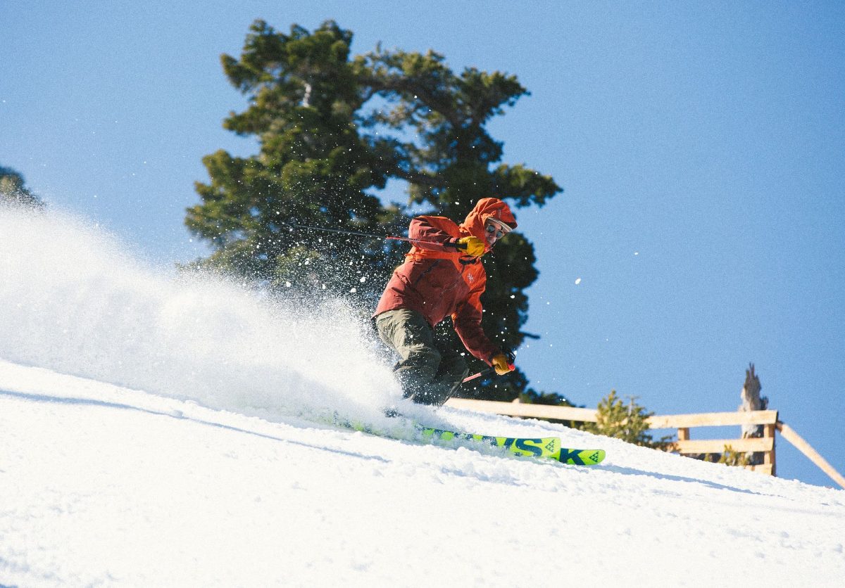 A skier carving powder beside the trees