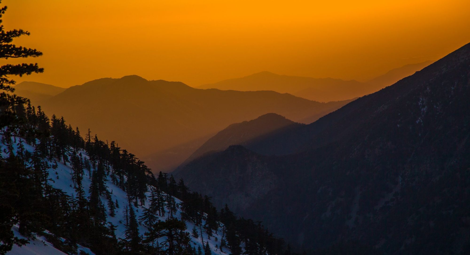 Golden ridges at sunset on Mt Baldy