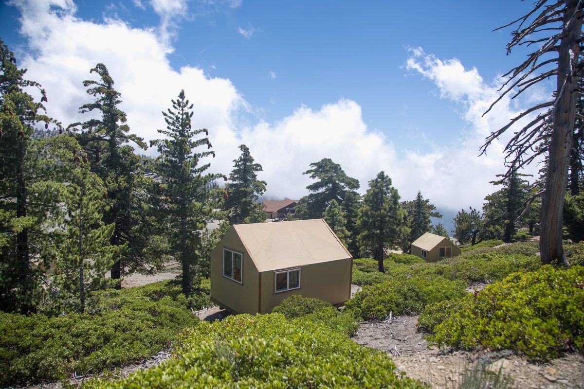 Camp Baldy tent cabins among the pines