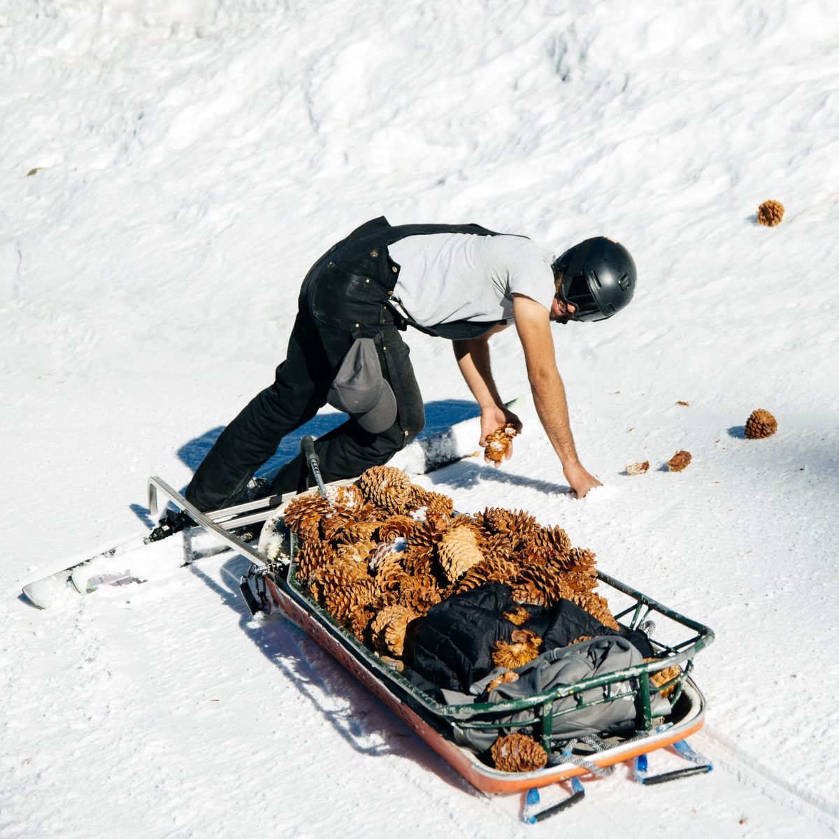 Ski patrol with a rescue sled