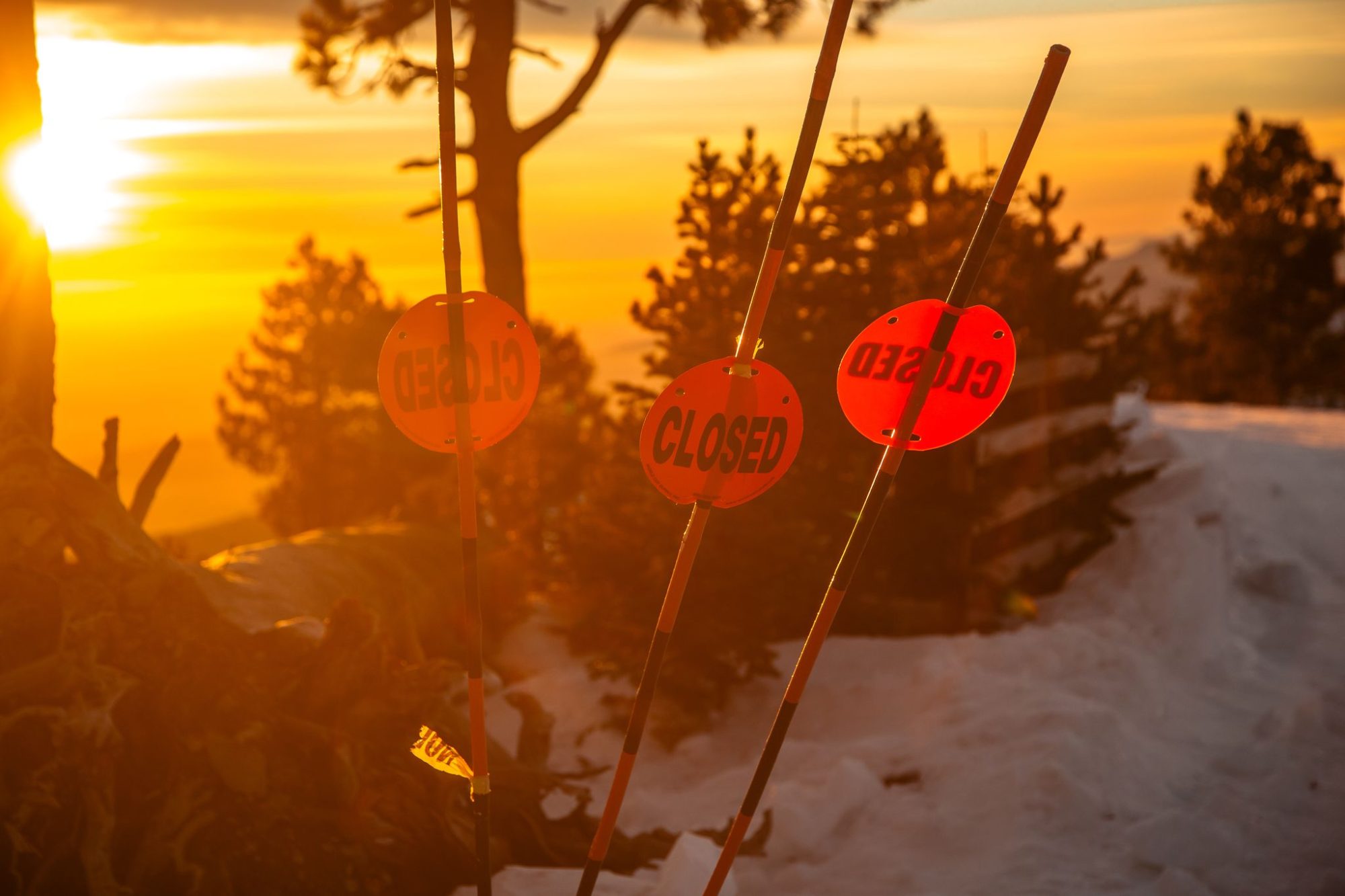 Trail signs glowing at sunset