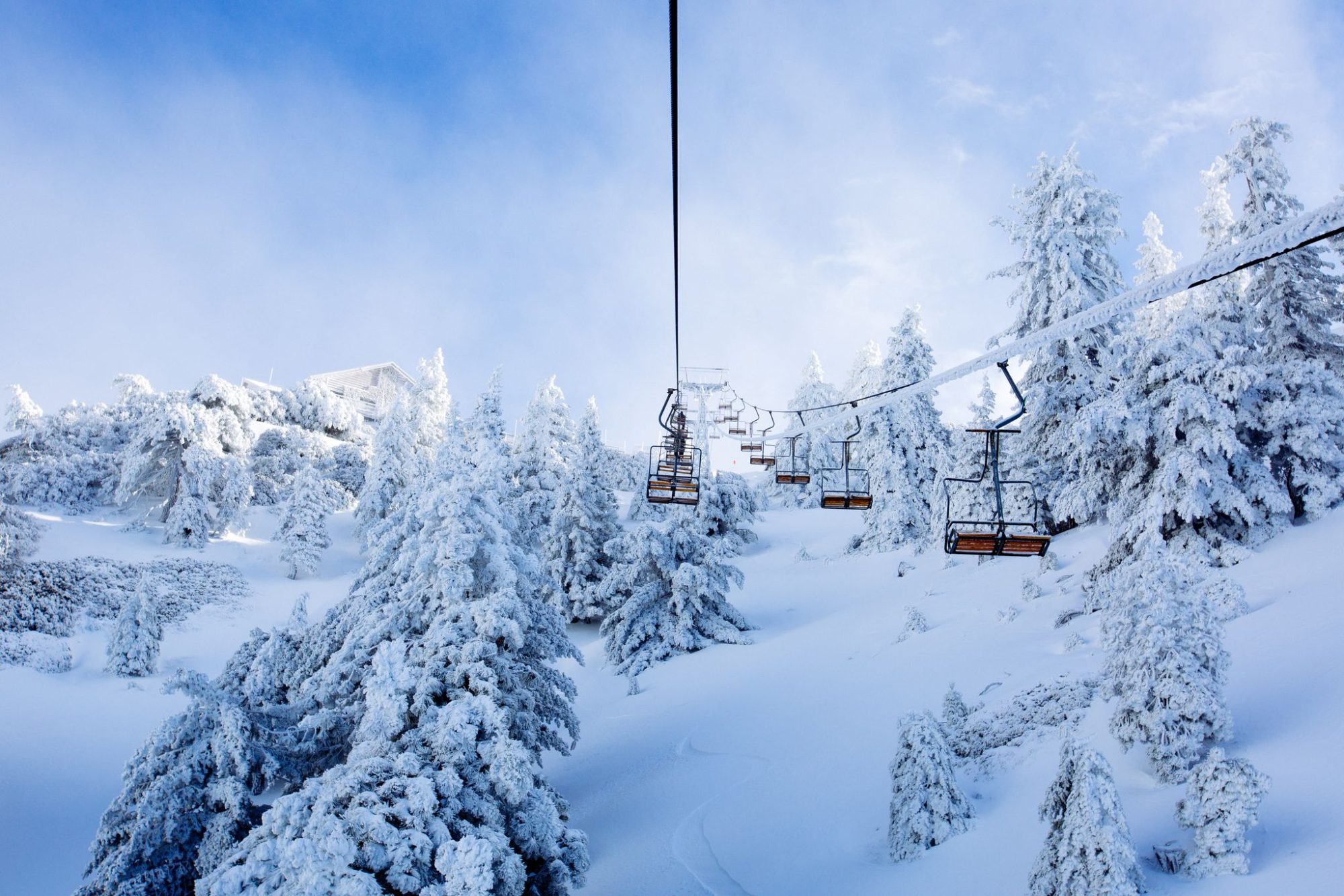 A Mt Baldy chairlift climbing past rime-frosted pines under a deep blue sky