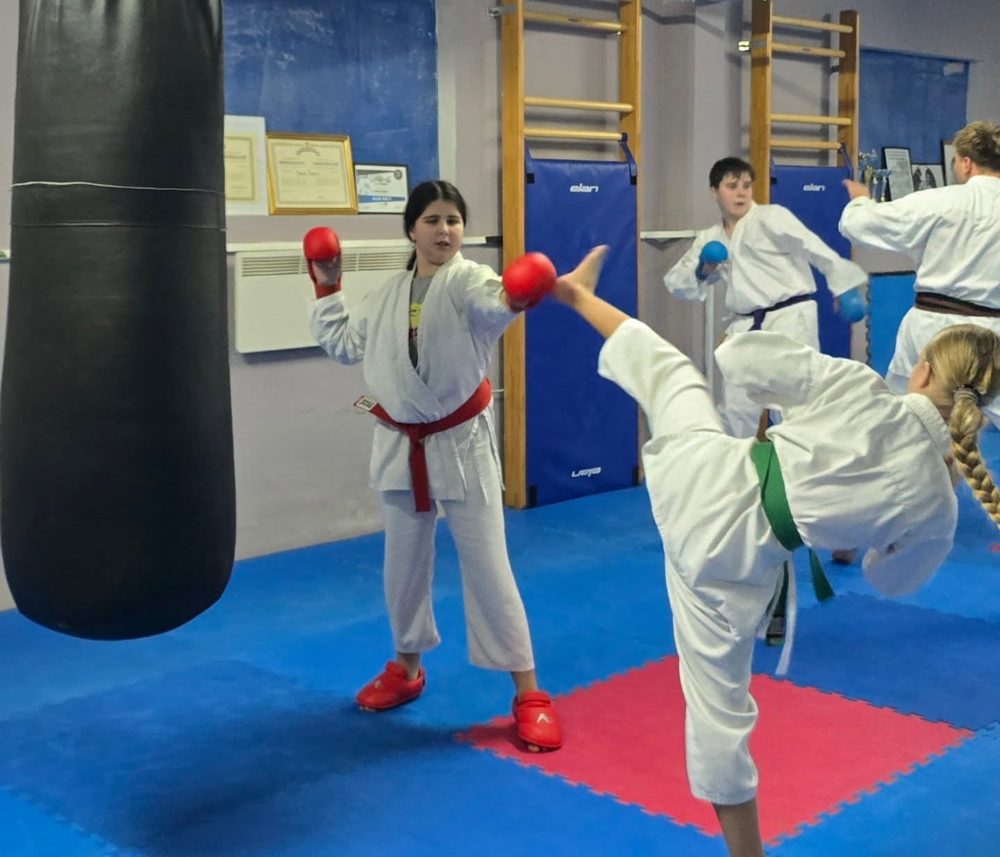 Shotokan karate