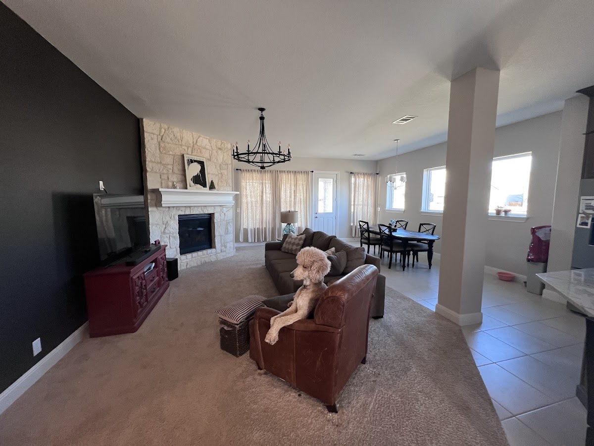 Customer-submitted photo of Brooke J's freshly painted downstairs living space