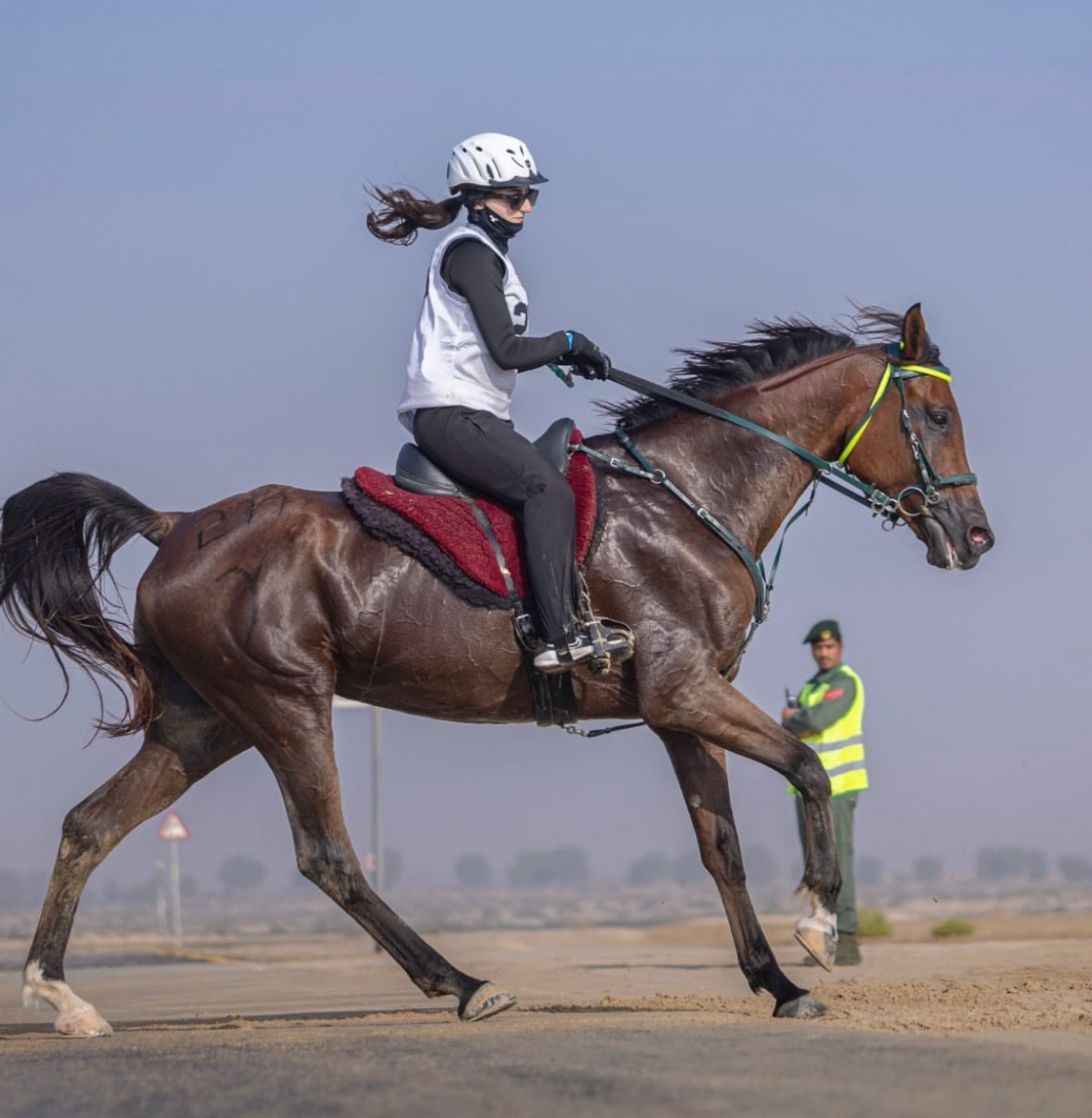 صورة مرحلة ركوب الخيل