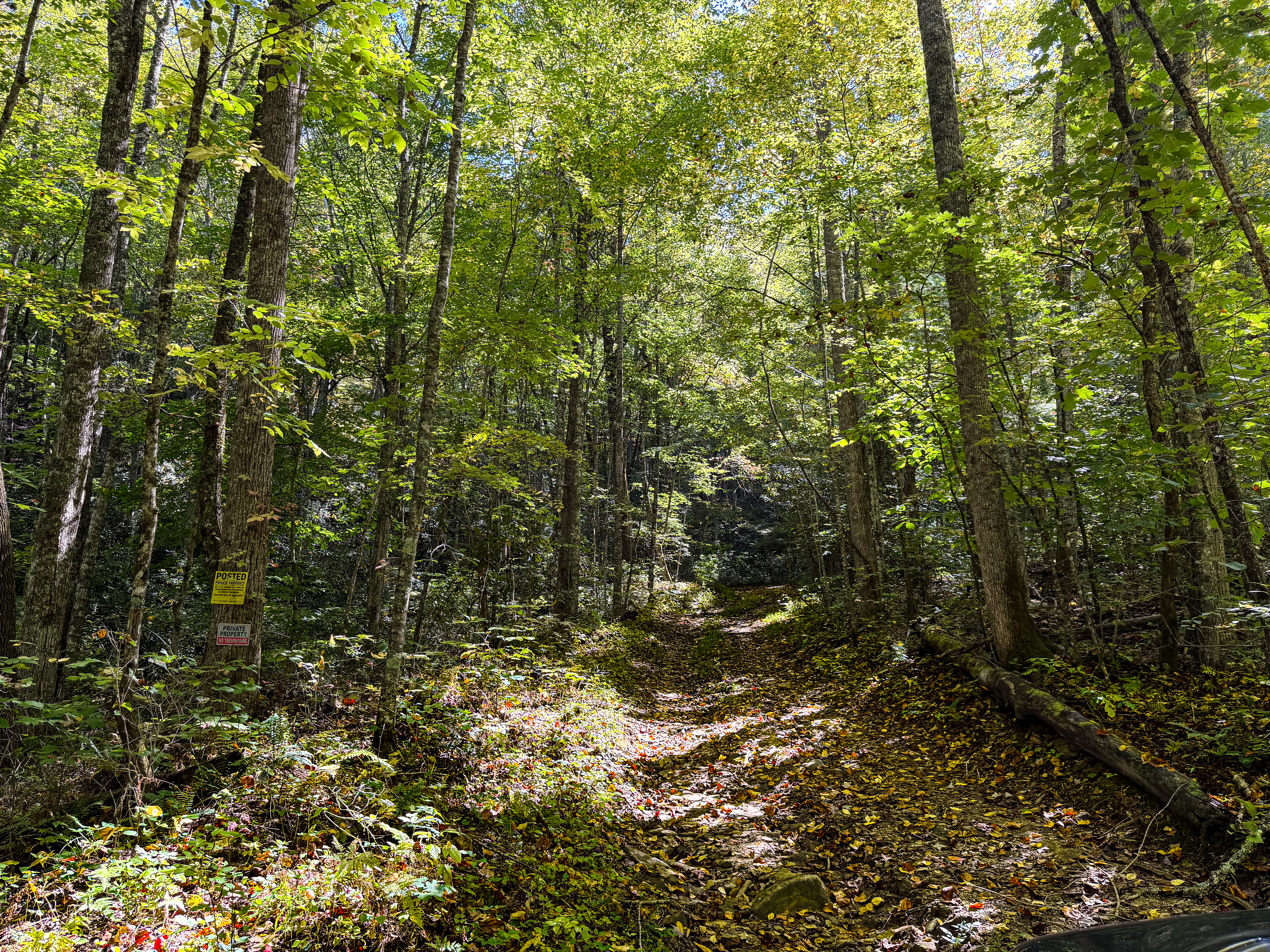 Actual Wiggins Creek property photograph three