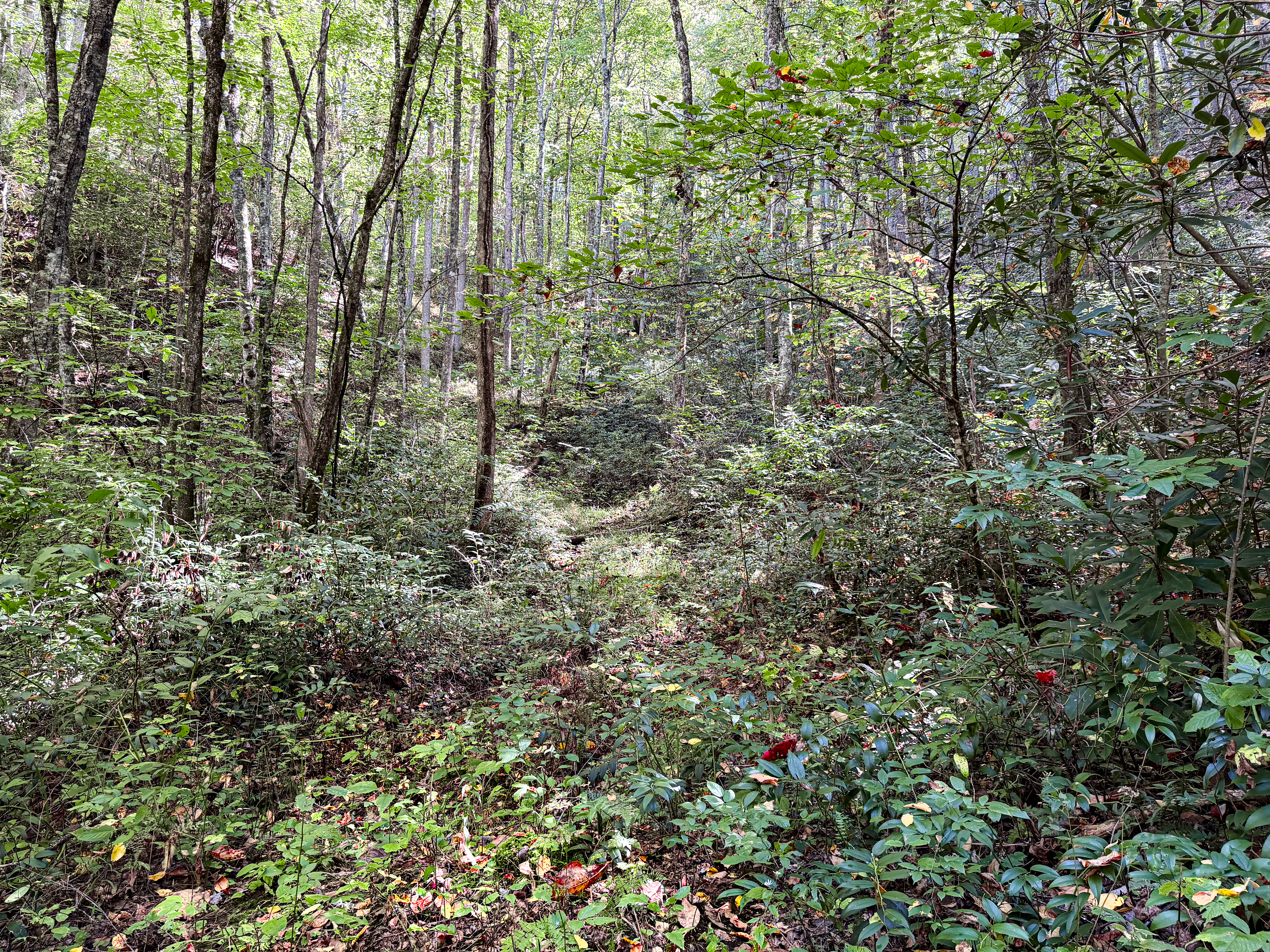 Actual Wiggins Creek property photograph two