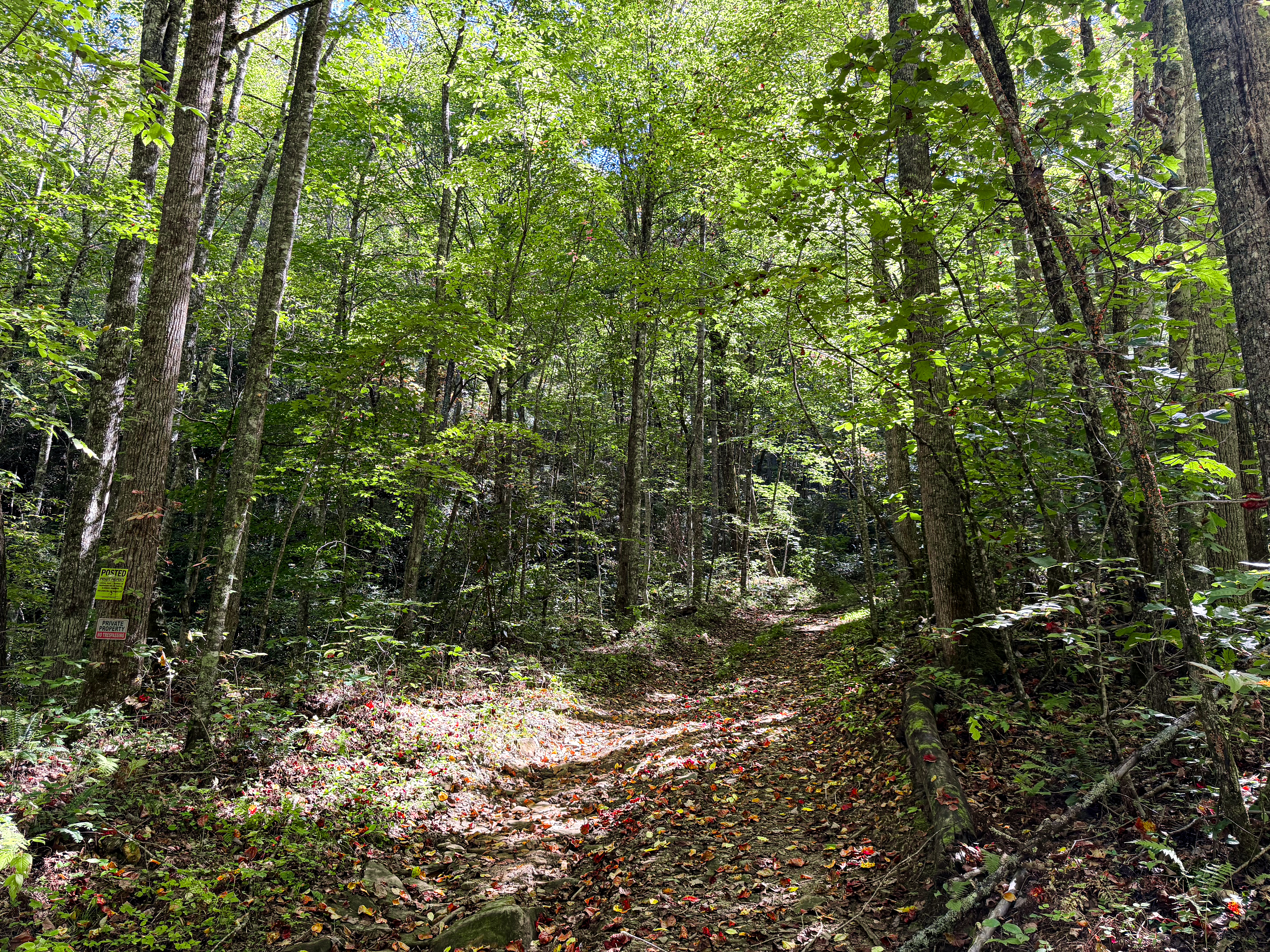 Actual Wiggins Creek property photograph four