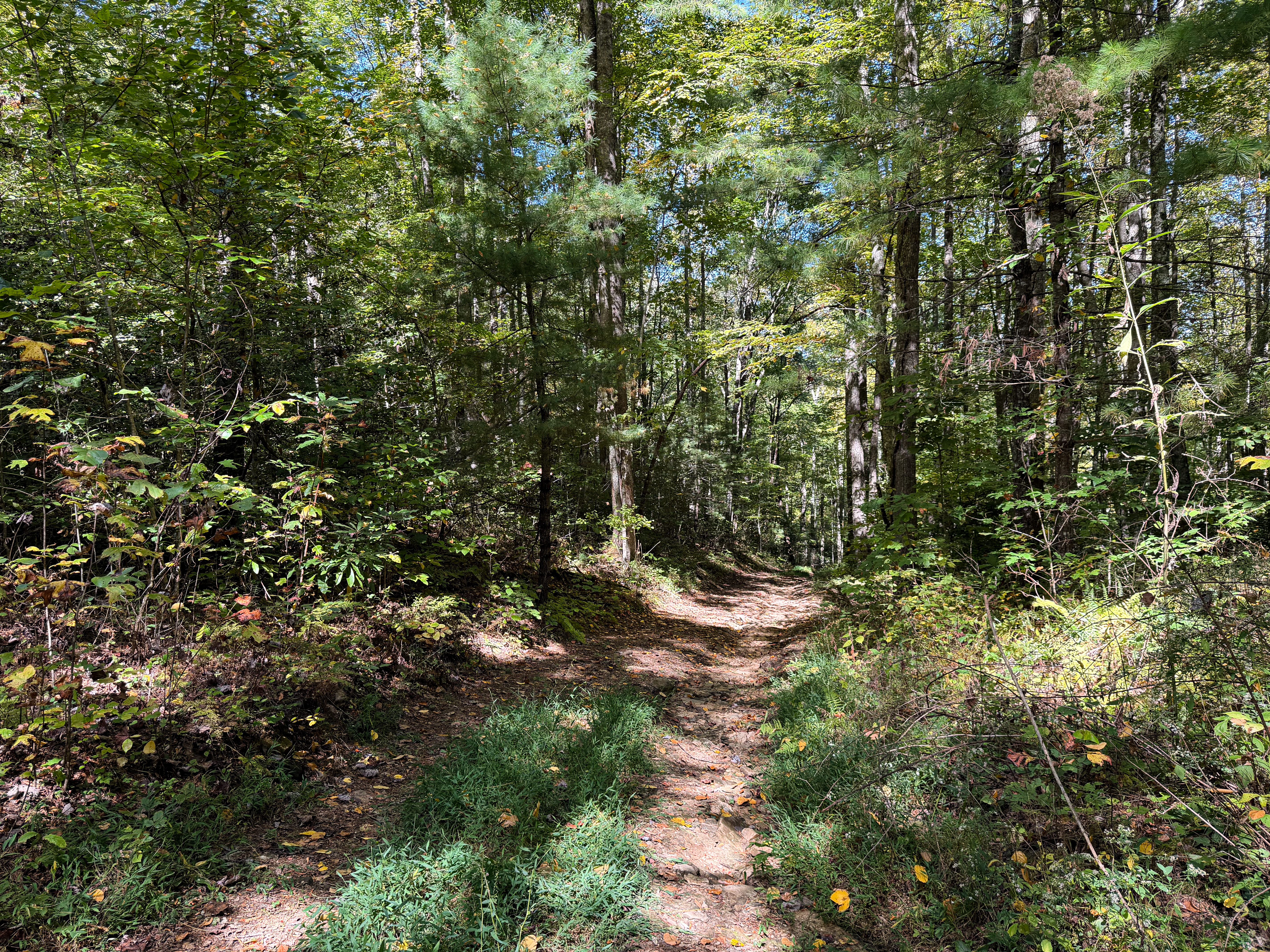 Actual Wiggins Creek property photograph one