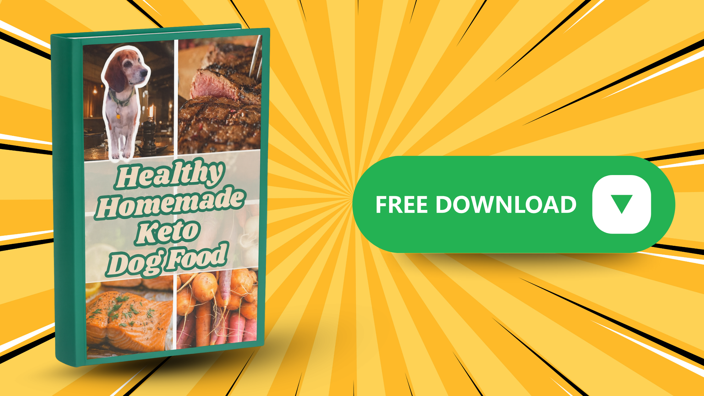 keto homemade dog food recipe guide keto homemade dog food recipe guide