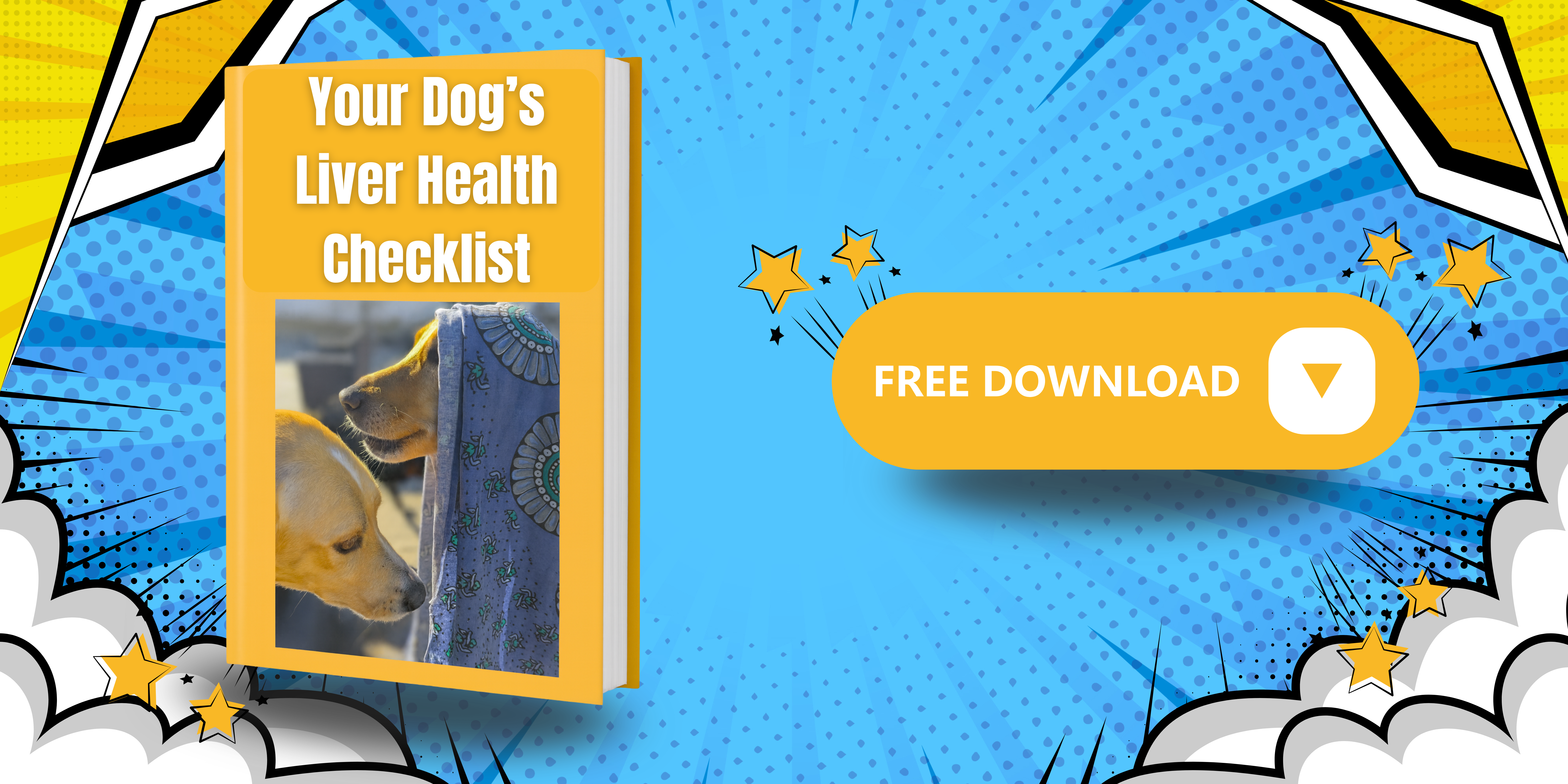 dog liver health guide graphic dog liver health guide graphic