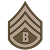 Business Sergeant Logo