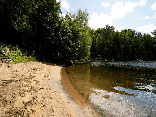 Beach Grooming and Clearing in Omaha