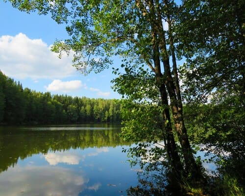 Kearney Aquatic weed removal