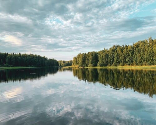 Norfolk Aquatic weed removal