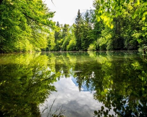 Columbus Aquatic weed removal