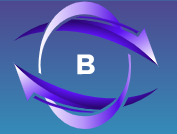 Braxkee Bookkeeping LLC logo