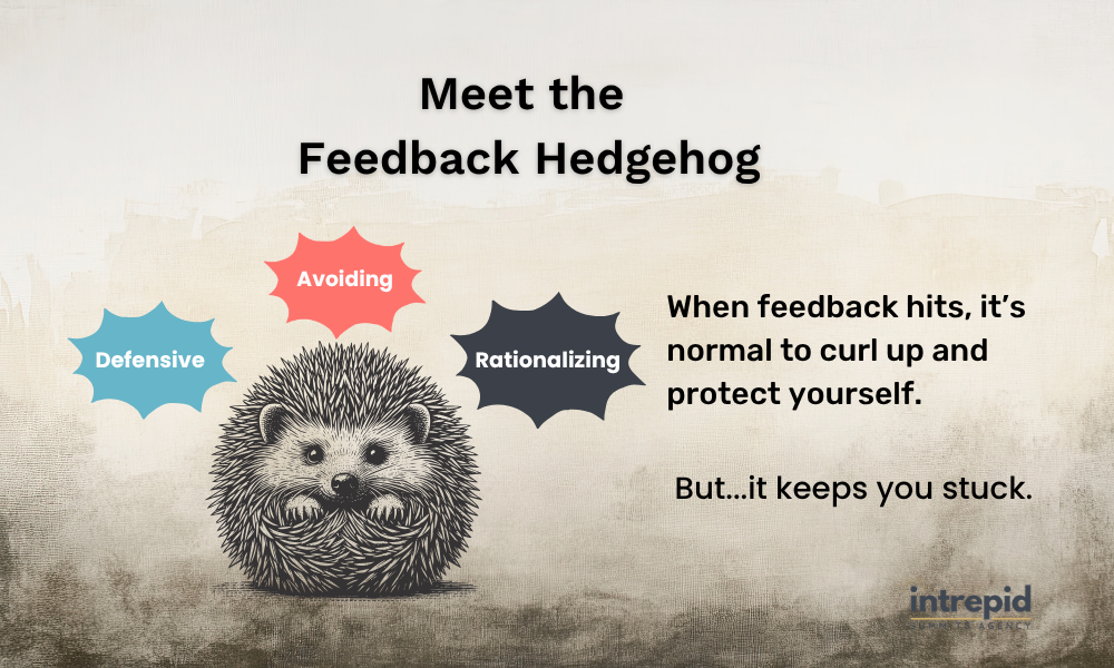 Meet the Feedback Hedgehog Meet the Feedback Hedgehog