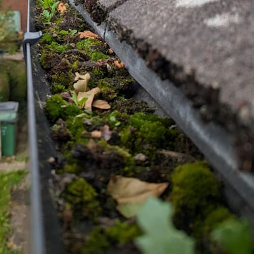 Before Gutter Cleaning Wirral