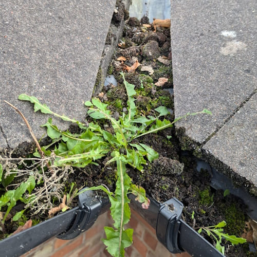 Before Gutter Cleaning Wirral
