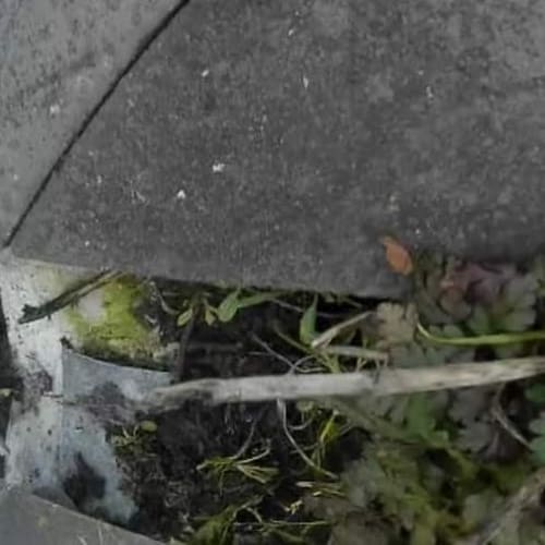 Before Gutter Cleaning Wirral