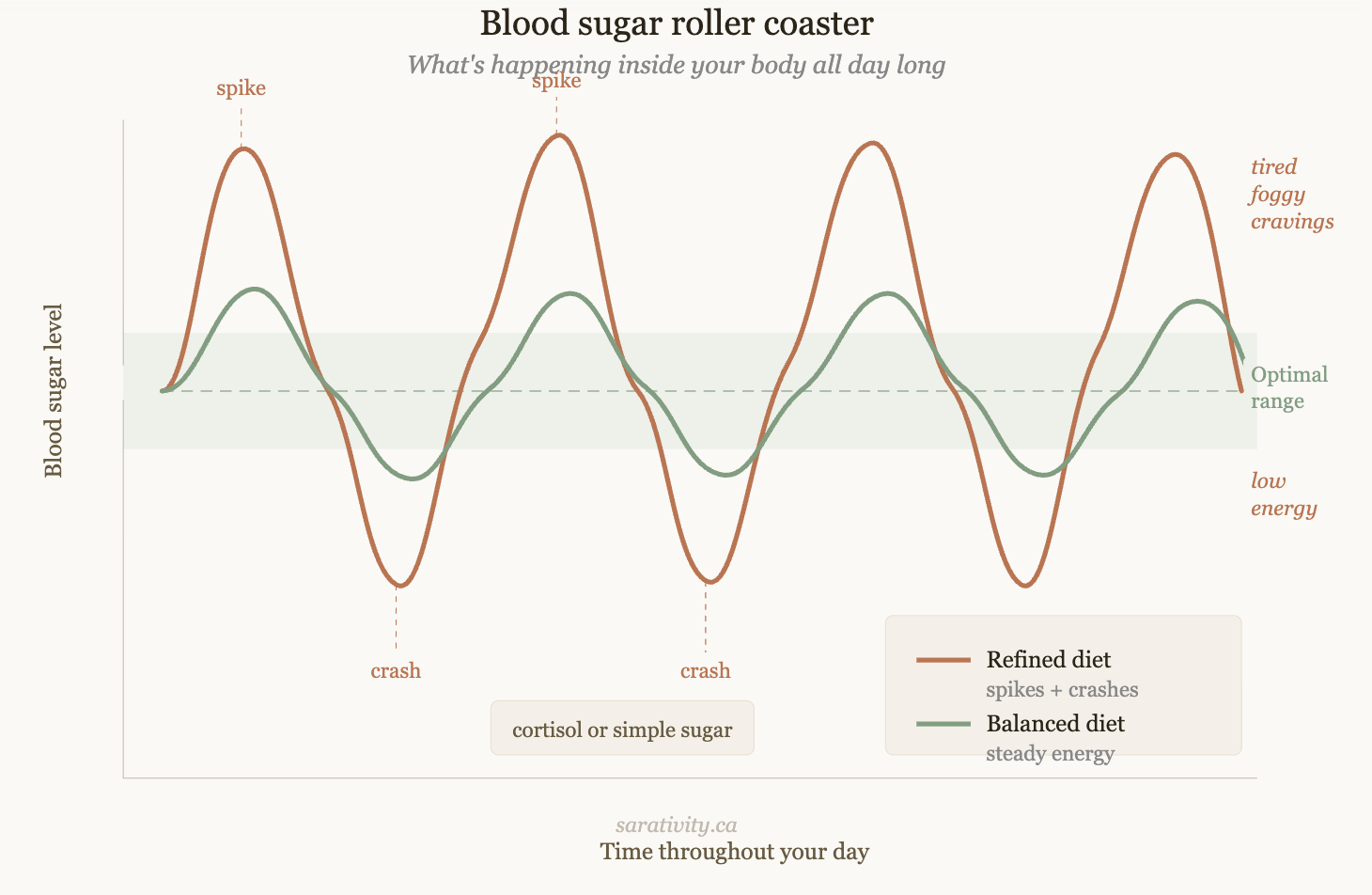 blood sugar rollercoaster diagram showing the highs and drops of a refined diet compared to a optimal balanced diet blood sugar rollercoaster diagram showing the highs and drops of a refined diet compared to a optimal balanced diet