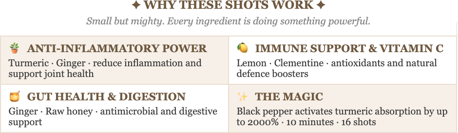 magic plate breakdown of ginger shots magic plate breakdown of ginger shots