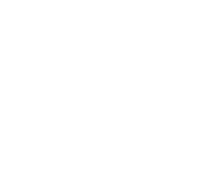 The Daily Edition
