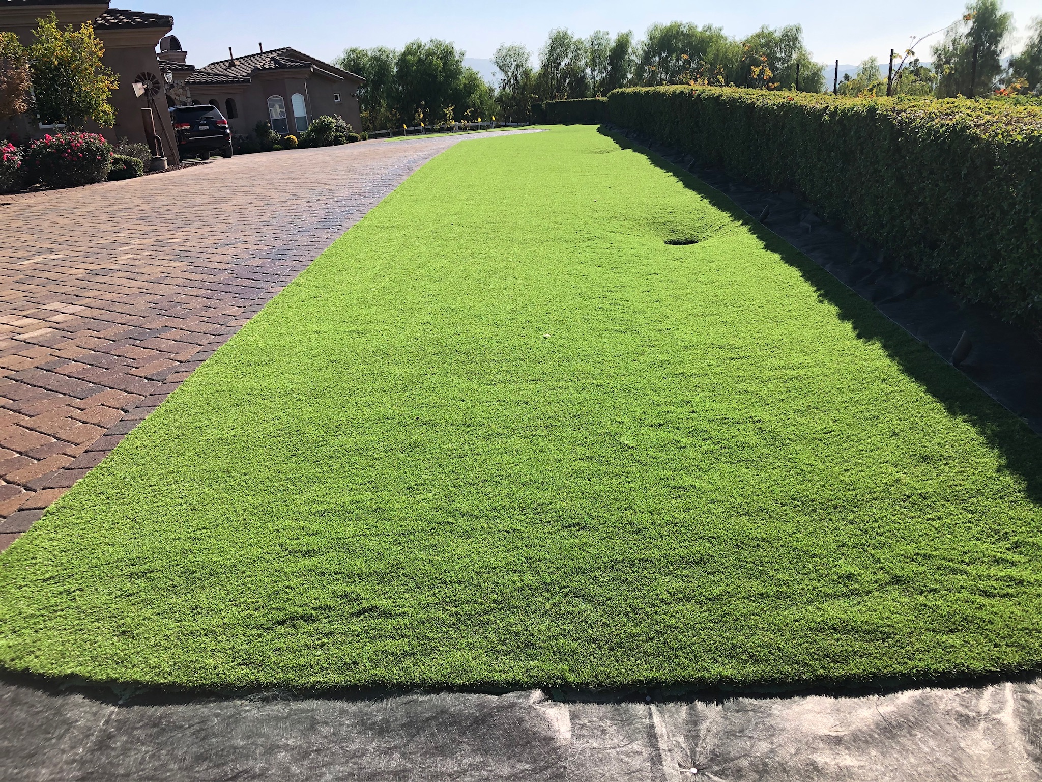 Landscaping project