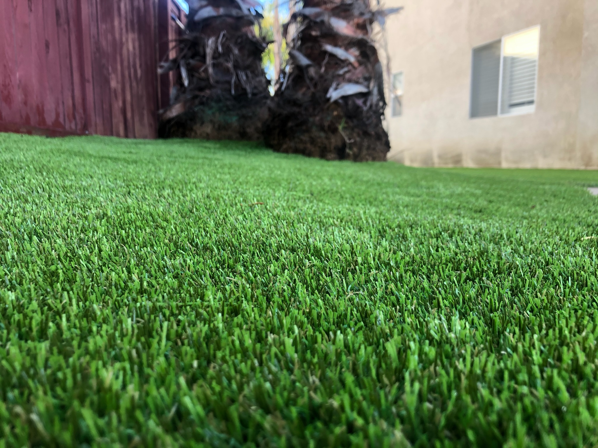 Landscaping project