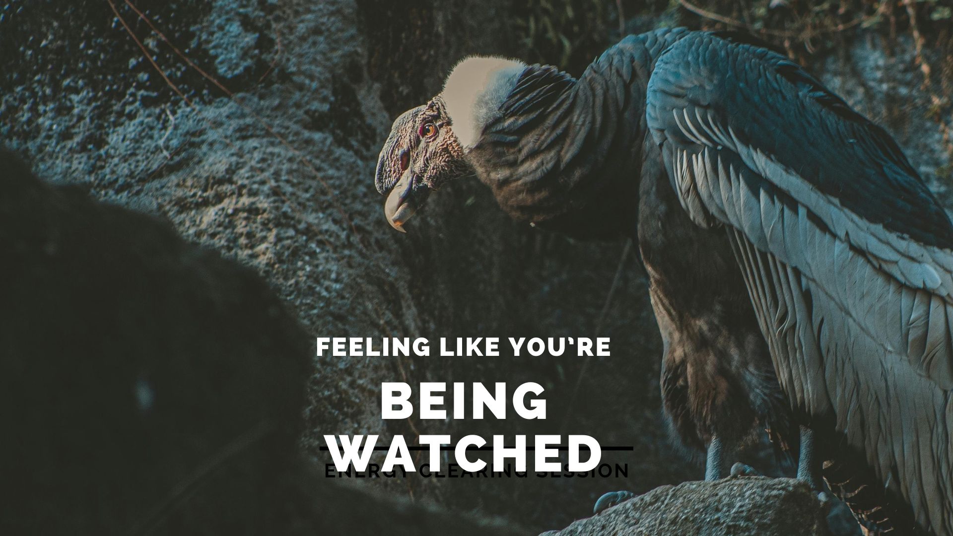 Are You Being Watched