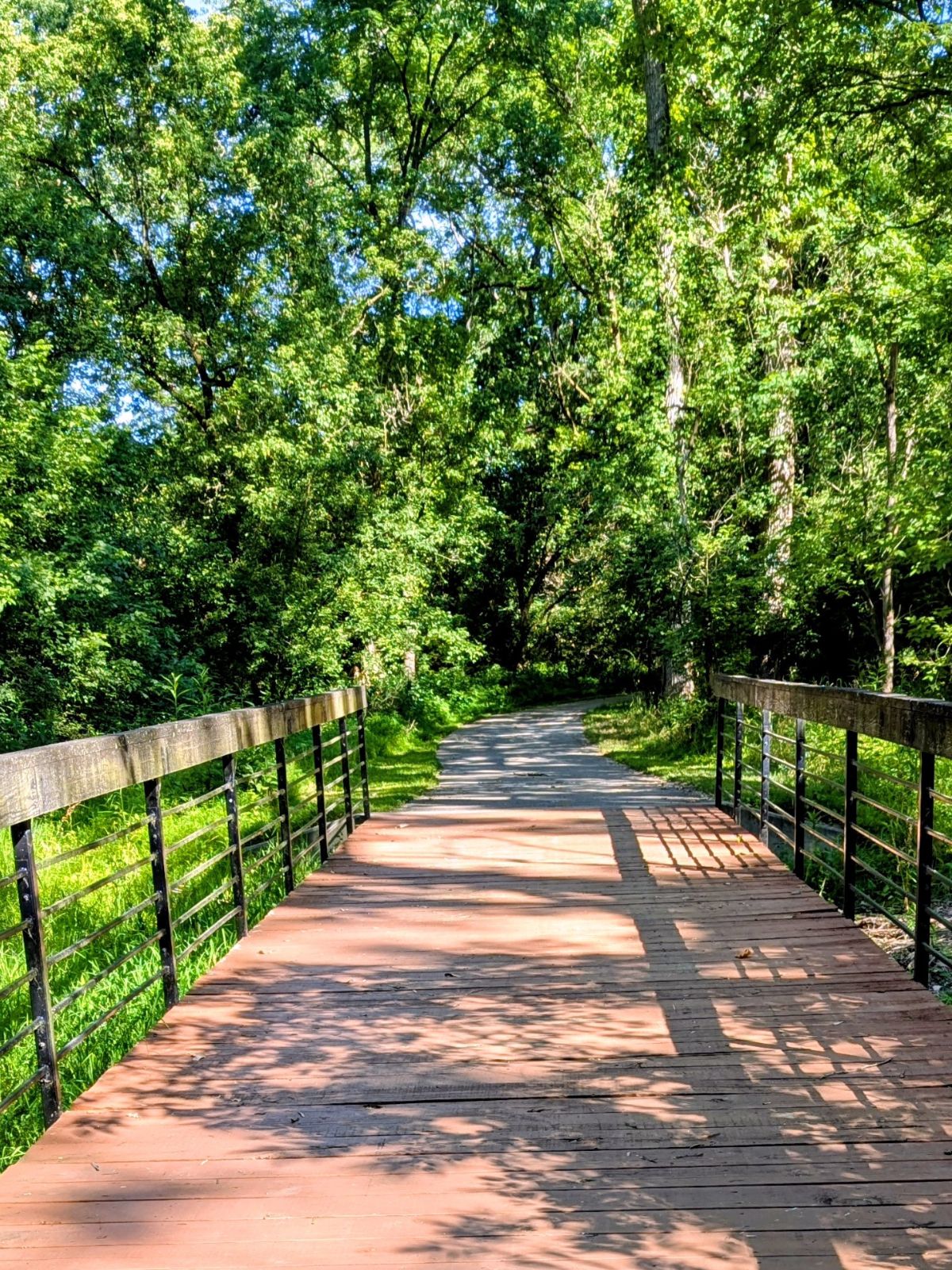 Wooden pedestrian bridge leading into a tree-lined path symbolizing forward movement and personal growth