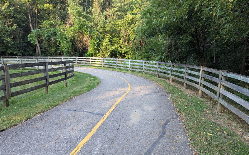 Curving paved path through a green park, symbolizing moving forward when the next step is not clear.