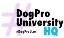 Company logo 14