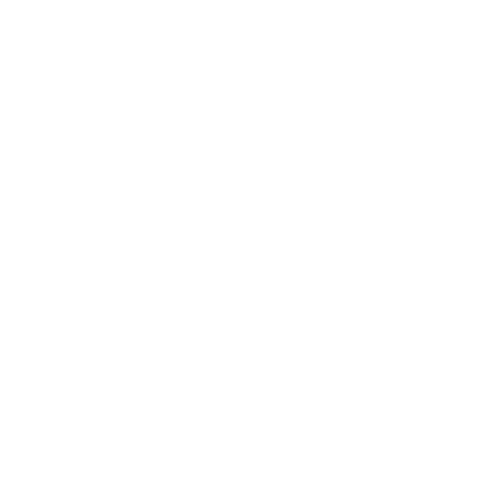 Company logo 13